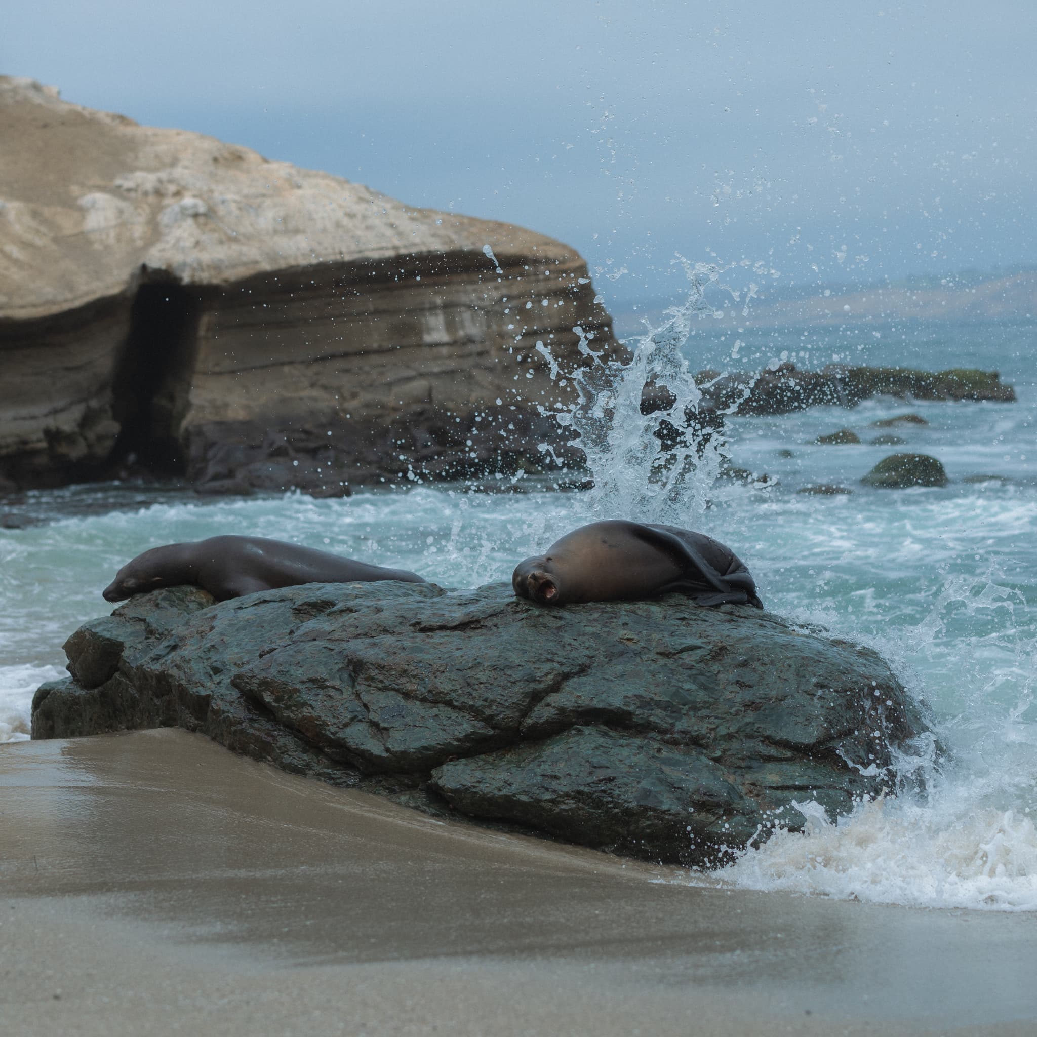 San Diego